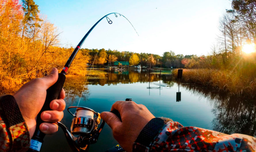 Сонник — Рыбалка толкование Рыбалки