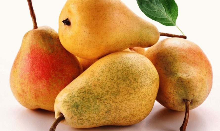 Груша Калории