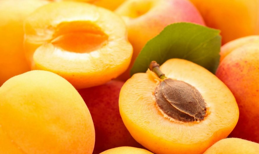 Абрикос: калории