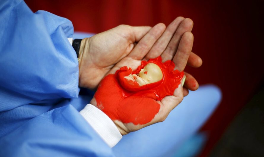 Домашнее прерывание беременности