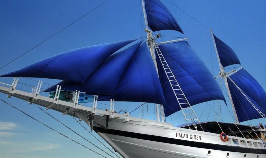 Пожелания яхтсмену