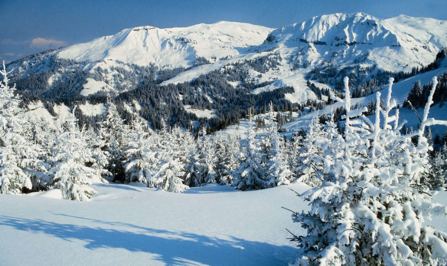 Сонник: Зима толкование