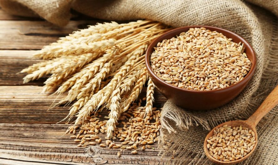 Сонник: Зерно