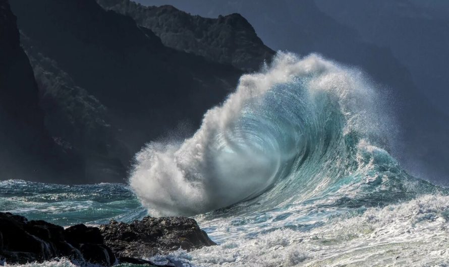 Сонник: Волны