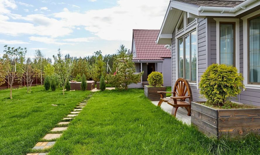 Сонник: Участок