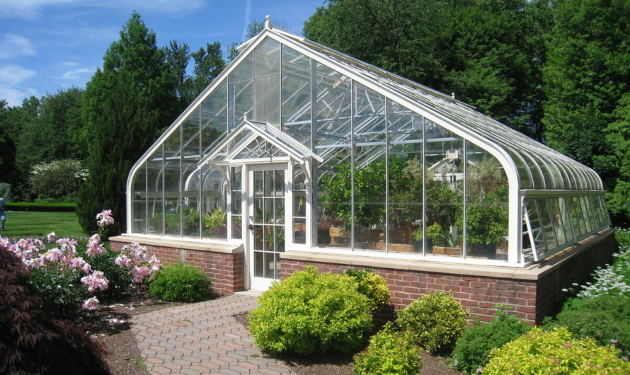 Сонник: Теплица