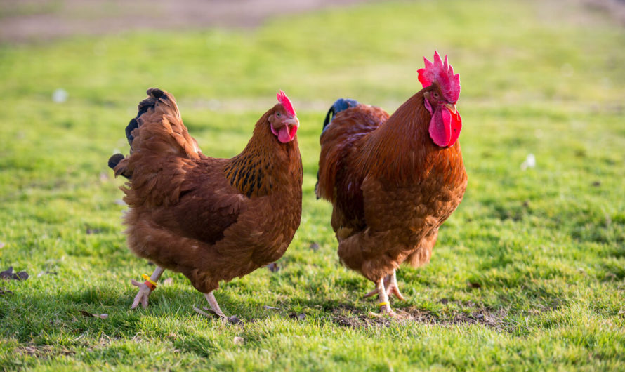 Приснились Бумажные Деньги Сонник