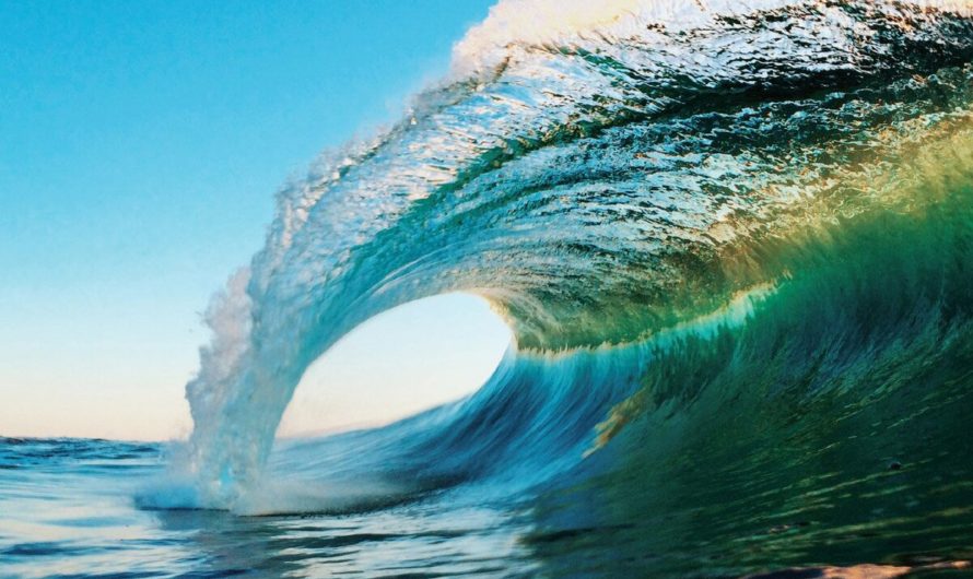 Приснилась Земля Сонник