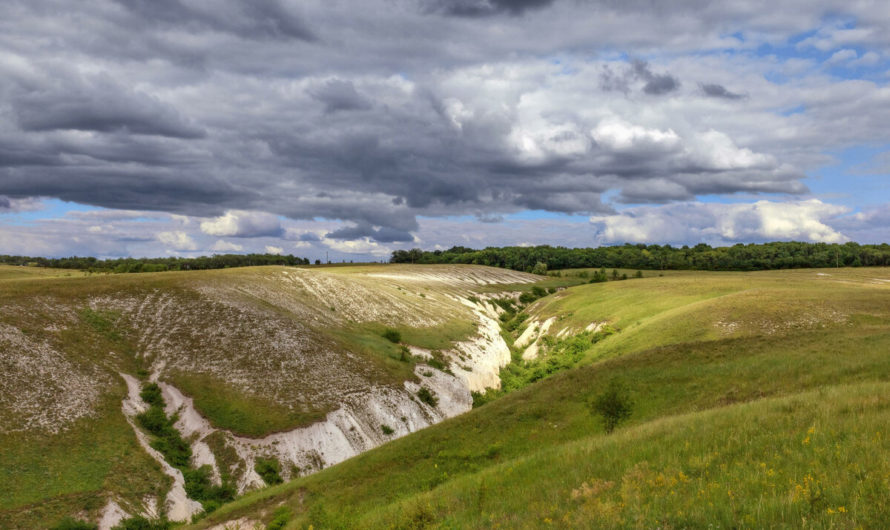 Сонник Овраг