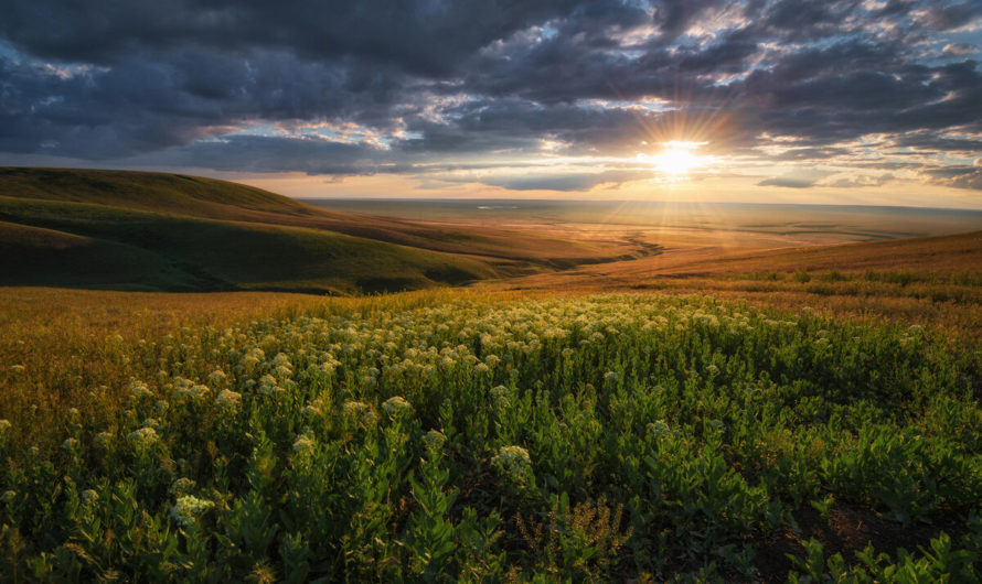 Сонник Степь во сне