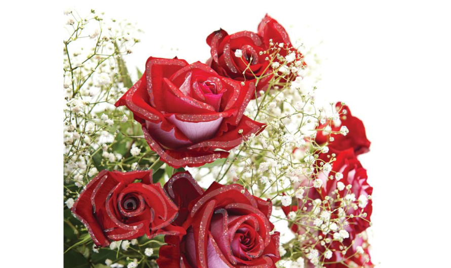 Сонник Открытка