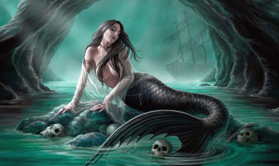 Сонник Сирена