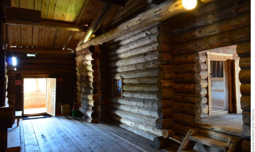 Сонник Сени