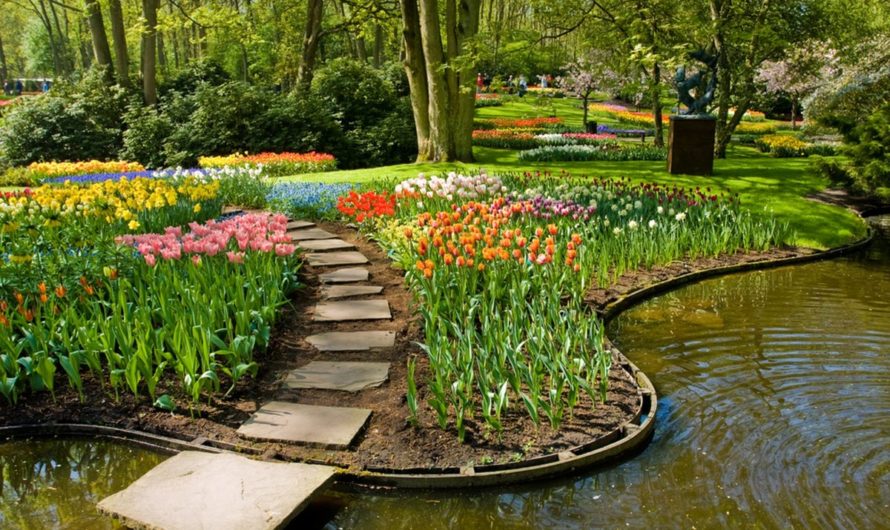 Сонник — Сад толкование