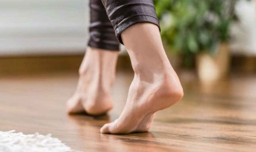 Сонник Скрип