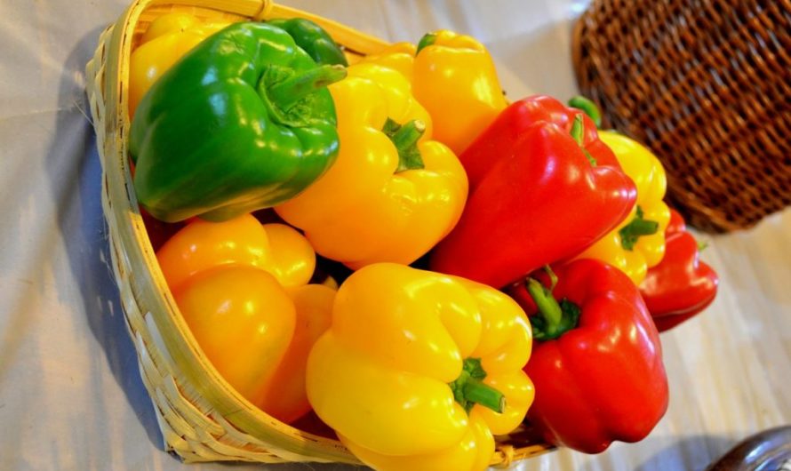 Перец: калории, зелёный, сладкий перец