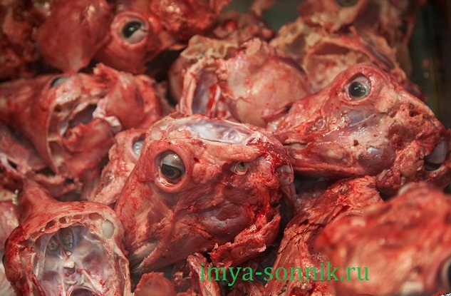 Сонник Мясо