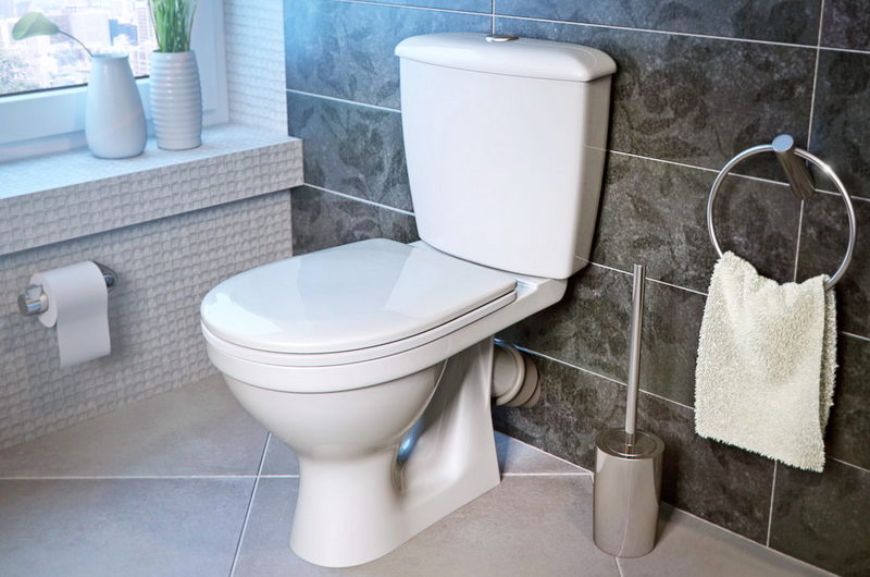 Сонник: Унитаз