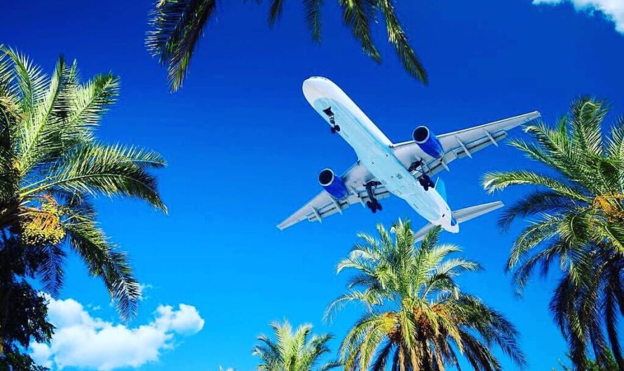 Сонник: Авиапутешествие