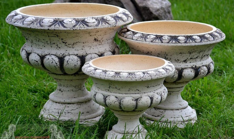 Сонник: Вазон