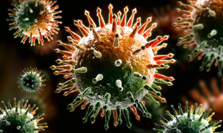 Сонник: Вирусы