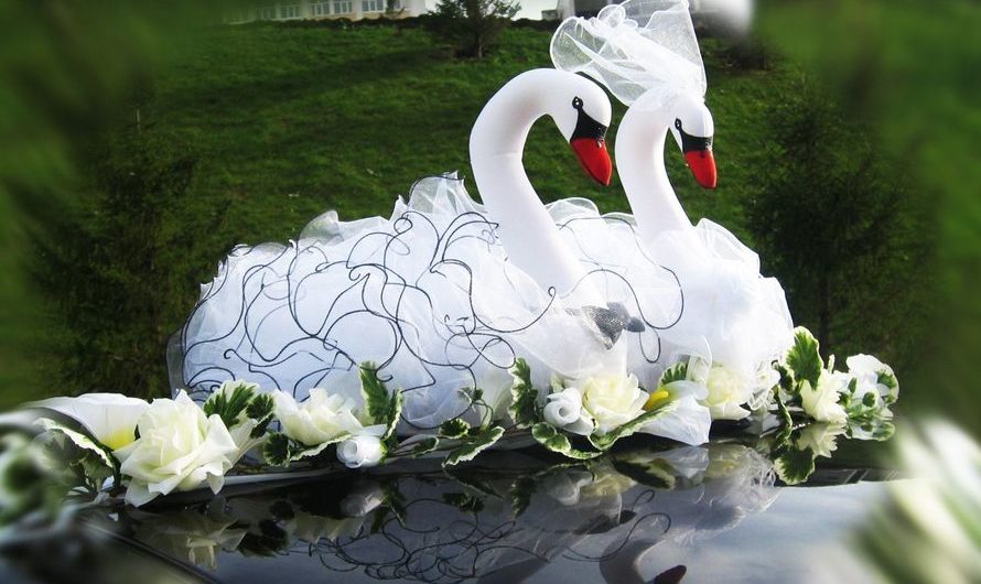 Когда вместе 26 лет — какая свадьба, как её отпраздновать, что дарить