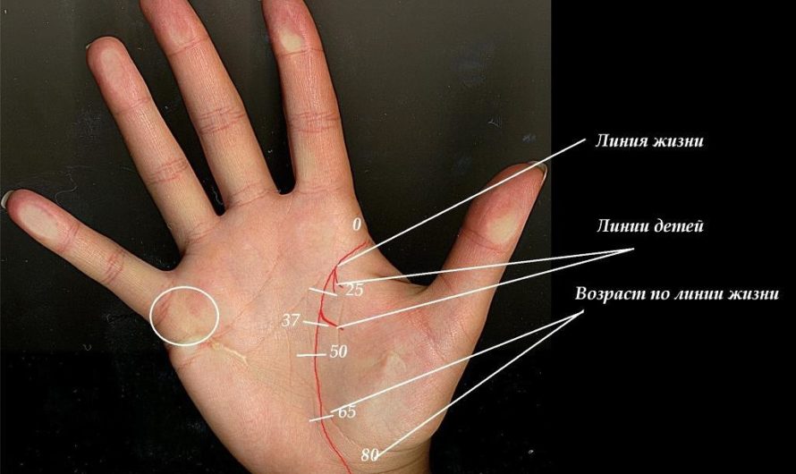 Хиромантия: определите совместимость с партнером по отпечатку пальцев