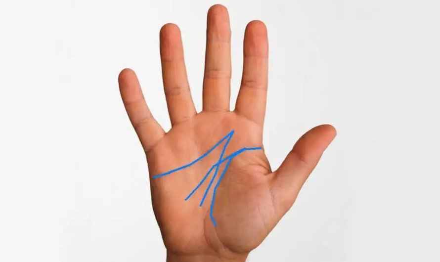 Хиромантия — узнайте о себе больше по линии сердца