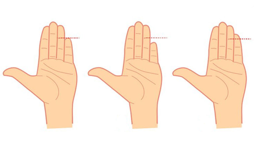 Хиромантия: совместимость с партнером по длине пальцев