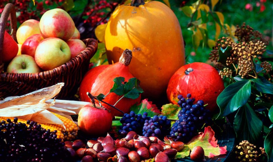 Лунный посевной календарь на декабрь 2020