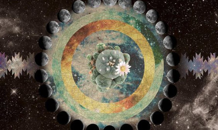 Лунный календарь на декабрь 2020 года