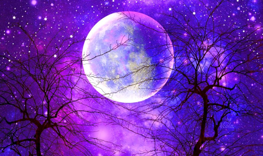 Лунный календарь на август 2020