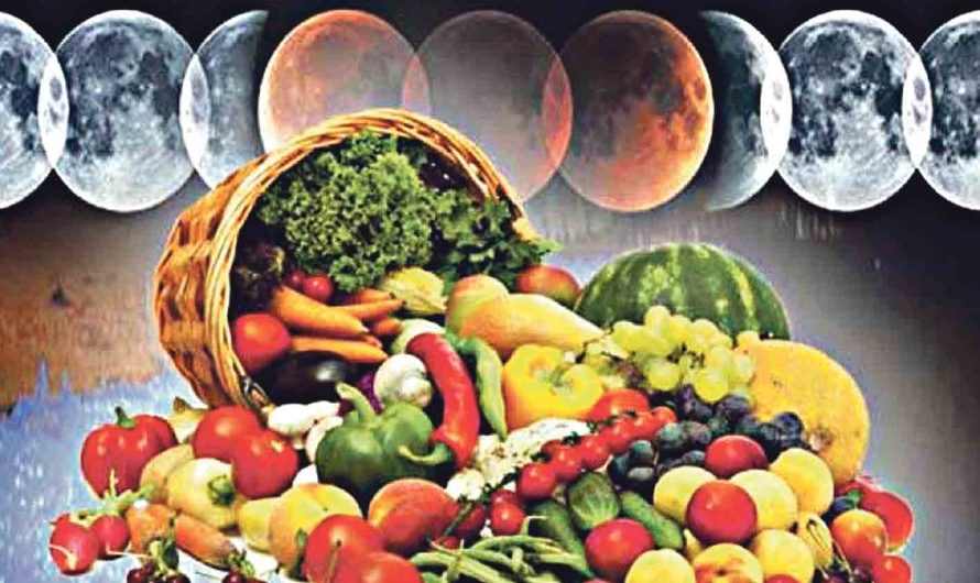 Лунный календарь посева на декабрь 2020 года