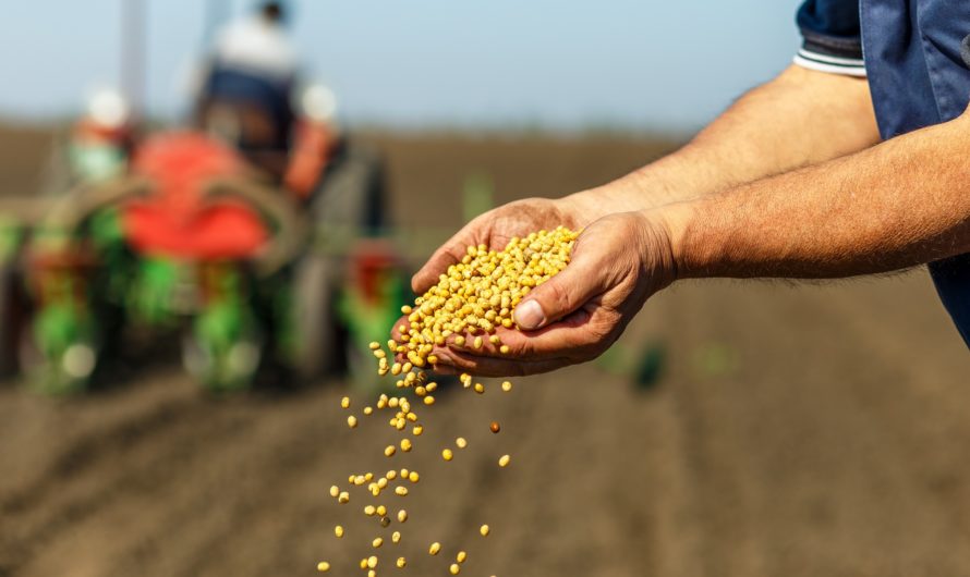 Лунный посевной календарь на сентябрь 2020