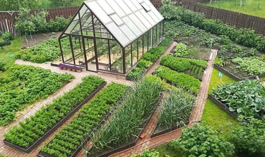 Лунный посевной календарь на август 2020