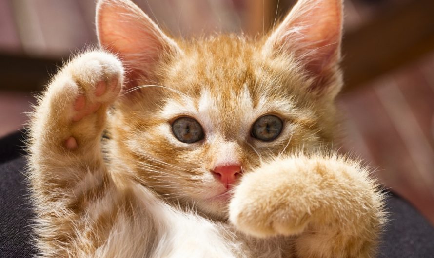 Имена  Мужские Женские смешные Безобидные рифмы,без обиды и оскорблений,